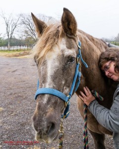 Pete in a blue halter, getting & giving some love